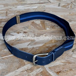 Elastic and adjustable belt...